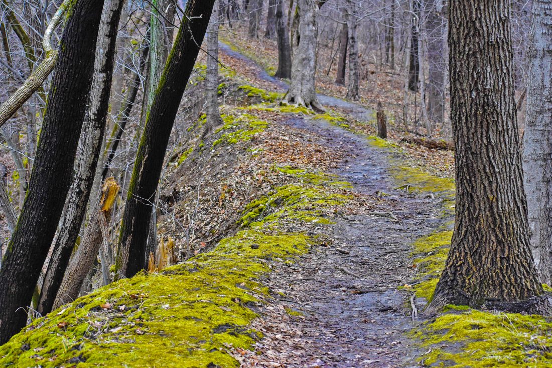 County parks closed to vehicular traffic | News, Sports, Jobs - Vimarsana News